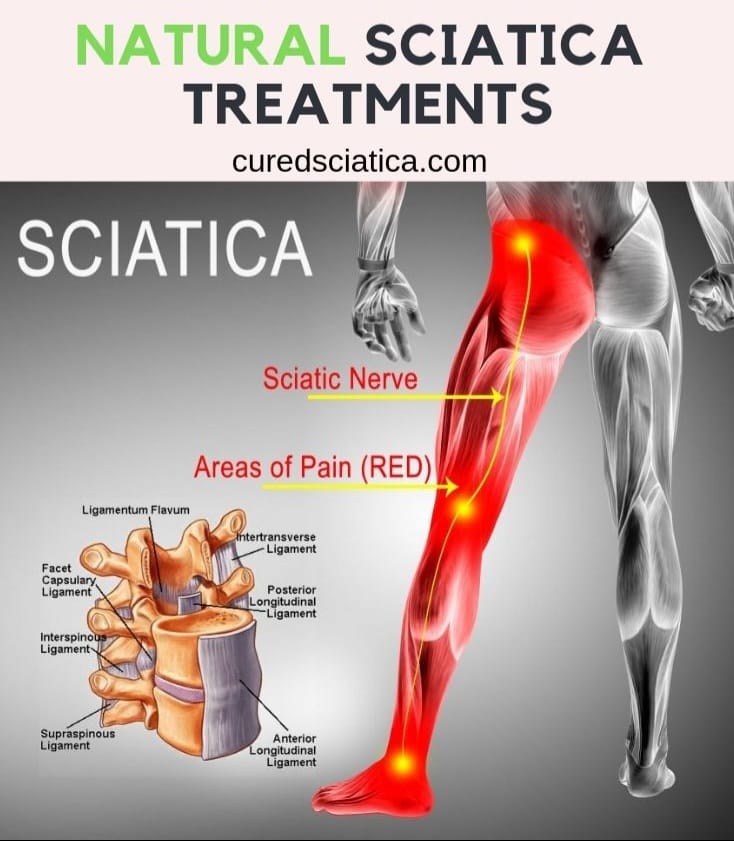 Reflexology Therapy Info